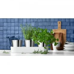 WMF Übertopf Gourmet Kräutergarten-Set Silber, 36 X 12,5 X 12,5 Cm, Rund, Edelstahl -Einhell Verkaufsshop 22363120793d68128b9579527581e0d8ded946ff uebertopf wmf gourmet kraeutergarten set silber