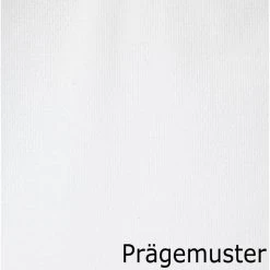 Kimberly-Clark Papierhandtücher Scott Performance, 1-lagig, Interfold-Falz, 21,5 X 31,5cm, 3180 Stück -Einhell Verkaufsshop 2864a5fbf2183f65f79ed6e1697229b698ac20d7 papierhandtuecher scott performance