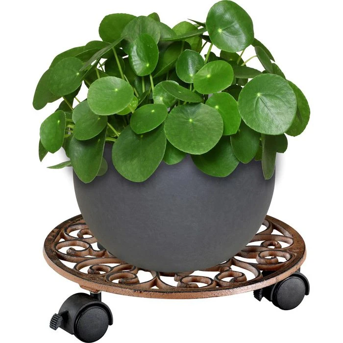 Wagner-System Pflanzenroller Antik, 20092501, Rund, Gusseisen, 50kg, Braun, Ø 29cm 2 Wagner-System Pflanzenroller Antik, 20092501, Rund, Gusseisen, 50kg, Braun, Ø 29cm – Bild 2