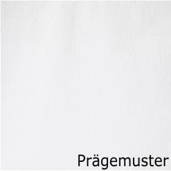 Kimberly-Clark Papierhandtücher Scott Xtra, 6669, 1-lagig, Interfold-Falz, 31,5 X 20cm, 3600 Stück -Einhell Verkaufsshop 4424dee503e0303be4278a4af40c8dbffcdee17e papierhandtuecher scott xtra 6669