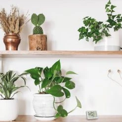 TFA Thermo-Hygrometer 30.5055.02, Innen, Digital, Weiß -Einhell Verkaufsshop 46bcef221250c3b0ffba0ab066a030d9032bbcdf thermo hygrometer tfa 30.5055.02 innen