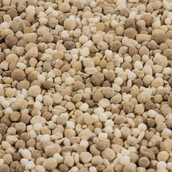 Compo Dünger Herbst Rasen-Langzeitdünger, Langzeitwirkung Bis 90 Tage, 5 Kg Für 250m² 2 Compo Dünger Herbst Rasen-Langzeitdünger, Langzeitwirkung Bis 90 Tage, 5 Kg Für 250m² – Bild 2