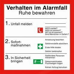 Abtec Hinweisschild BGV A8, Kunststoff, 20 X 20 Cm, Verhalten Im Alarmfall