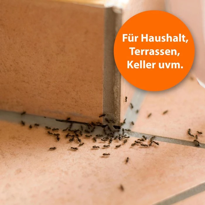 ARDAP Insektenspray Ameisen Zerstäuber, Wirkt Gegen Ameisen Und Ameisenstraßen, 500ml 4 ARDAP Insektenspray Ameisen Zerstäuber, Wirkt Gegen Ameisen Und Ameisenstraßen, 500ml – Bild 4