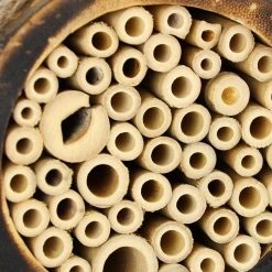 Relaxdays Insektenhotel 10037619, Geflammt, Bienenhotel, 12 X 12 X 9cm 11 Relaxdays Insektenhotel 10037619, Geflammt, Bienenhotel, 12 X 12 X 9cm -Einhell Verkaufsshop 6befcf422c1fd59ff00103ee7c22067dbaa02a63 insektenhotel relaxdays 10037619 geflammt