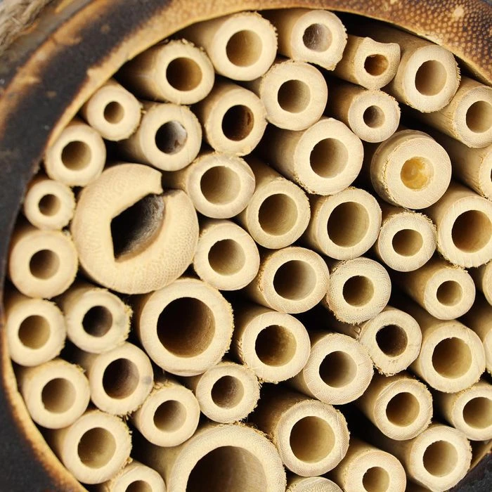 Relaxdays Insektenhotel 10037619, Geflammt, Bienenhotel, 12 X 12 X 9cm 5 Relaxdays Insektenhotel 10037619, Geflammt, Bienenhotel, 12 X 12 X 9cm – Bild 5