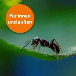 ARDAP Ameisenköder Ameisen Köderdose, Fraßköder, Für Den Innen- & Außenbereich, 3 Stück -Einhell Verkaufsshop abe5dd947e713733b45f2c3f7891b730afec1e73 ameisenkoeder ardap ameisen koederdose