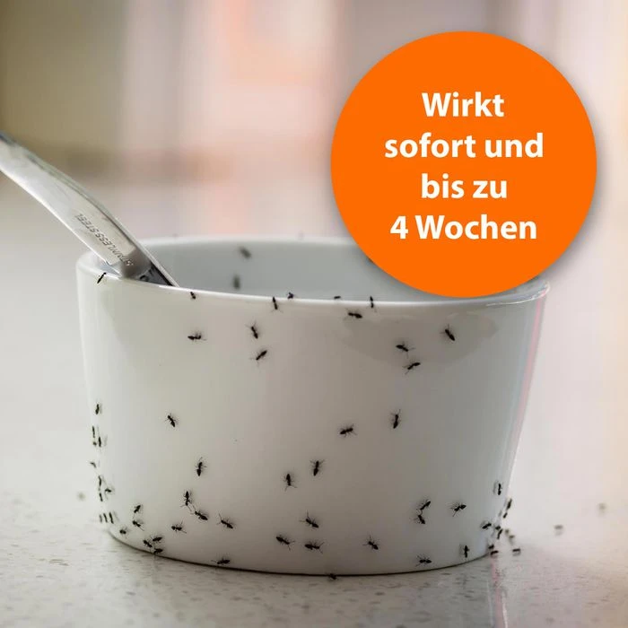 ARDAP Insektenspray Ameisen Zerstäuber, Wirkt Gegen Ameisen Und Ameisenstraßen, 500ml 3 ARDAP Insektenspray Ameisen Zerstäuber, Wirkt Gegen Ameisen Und Ameisenstraßen, 500ml – Bild 3