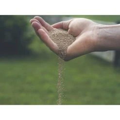 Substral Dünger Herbst Rasendünger, Langzeitwirkung Bis 90 Tage, 12,5 Kg Für 500m² -Einhell Verkaufsshop c2eb945bcbeb0eac524d7c81ef29d2496b19293e duenger substral herbst rasenduenger