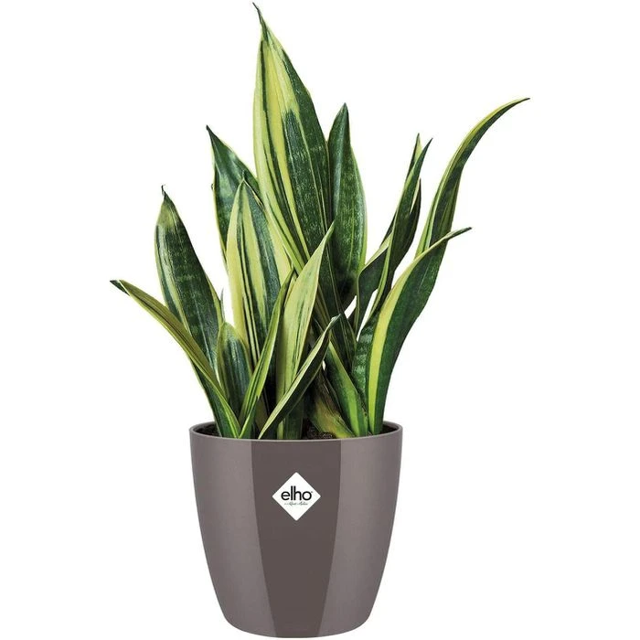 Elho Übertopf Brussels Diamond Rund, Oyster Pearl, Ø 25 X H 23 Cm, Kunststoff 2 Elho Übertopf Brussels Diamond Rund, Oyster Pearl, Ø 25 X H 23 Cm, Kunststoff – Bild 2