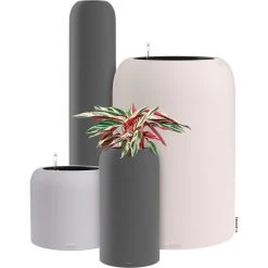 Lechuza Übertopf HAVALO 60, Basalt Grey, 60 X 60 X 85 Cm, Kunststoff, Erdbewässerungssystem -Einhell Verkaufsshop d67bd7a49fdaab6d1a24c6eac823b7e3a6bd014e uebertopf lechuza havalo 60 basalt grey