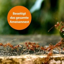 ARDAP Ameisenköder Ameisen Köderdose, Fraßköder, Für Den Innen- & Außenbereich, 3 Stück -Einhell Verkaufsshop da29b1131ba9dbee86b050c5245f56784f035c77 ameisenkoeder ardap ameisen koederdose