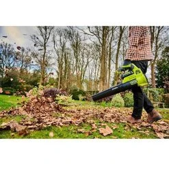 Ryobi Laubbläser RY36BLA-0, Akku, 36V, Mit Gebläserohr -Einhell Verkaufsshop fdde5d07bef68b947c0dff7ee86cd7a3f64f9233 laubblaeser ryobi ry36bla 0 akku